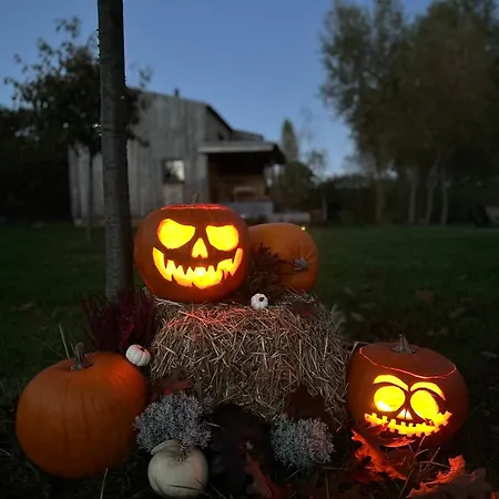 Salixa U Podebrad אתר קמפינג