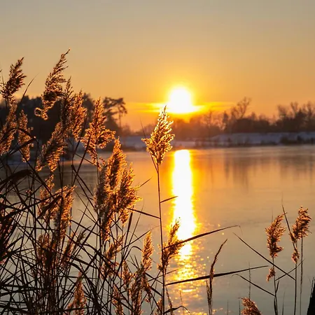 Salixa U Podebrad * Podebrady