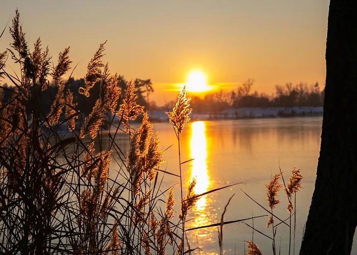 Salixa U Podebrad * Poděbrady