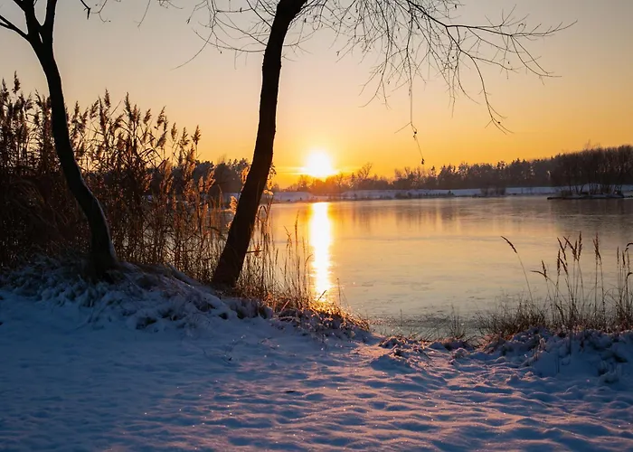 Salixa U Podebrad * Poděbrady