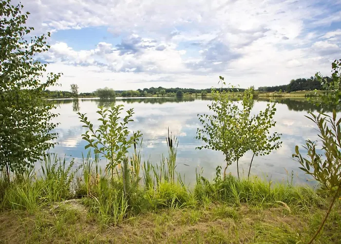 Salixa U Podebrad Poděbrady