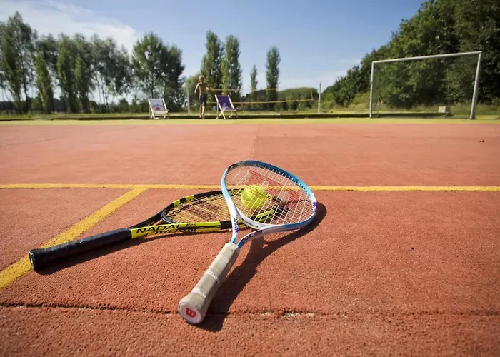 Salixa U Podebrad Κάμπινγκ *